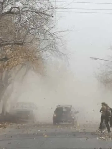 680ab09a42c19_360_480!