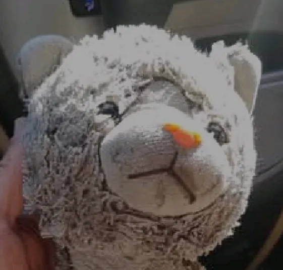 Screenshot_20250522-213340-633