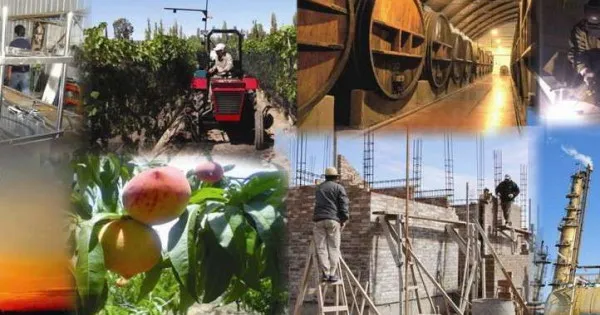 Matriz productiva de Mendoza