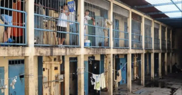 WhatsApp Image 2025-11-18 at 12.06.53