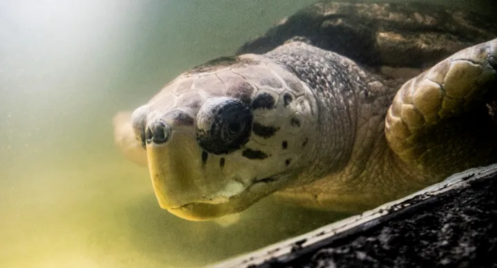 Screenshot_20250228-231249-353