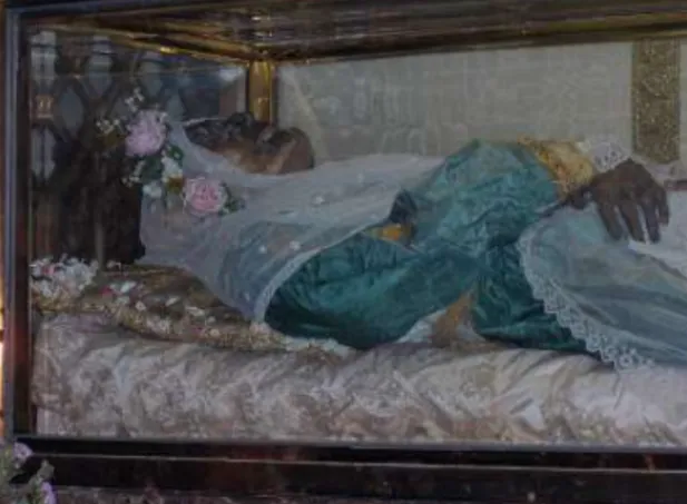 Screenshot_20250329-235140-946