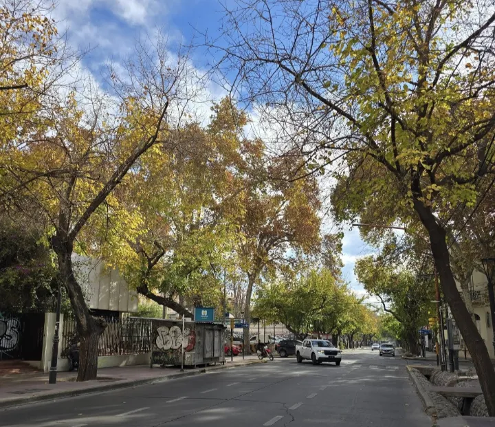 Screenshot_20250605-183650-271