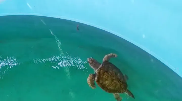 Screenshot_20250228-231349-293