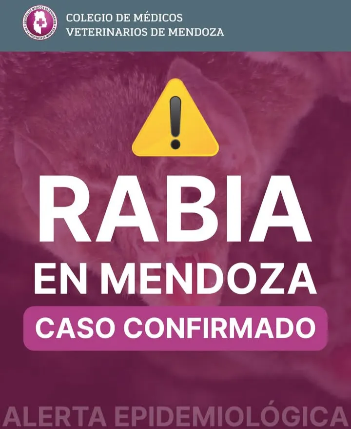 Screenshot_20250411-131953-908