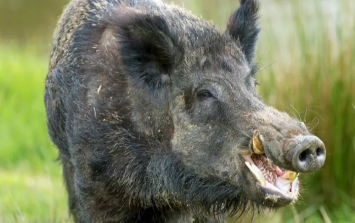 Screenshot_20250524-121900-170