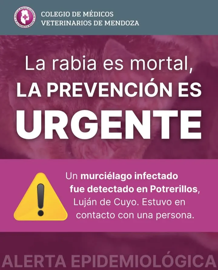 Screenshot_20250411-132029-371