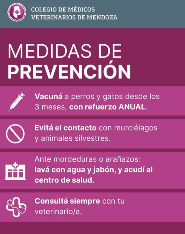 Screenshot_20250411-132106-389