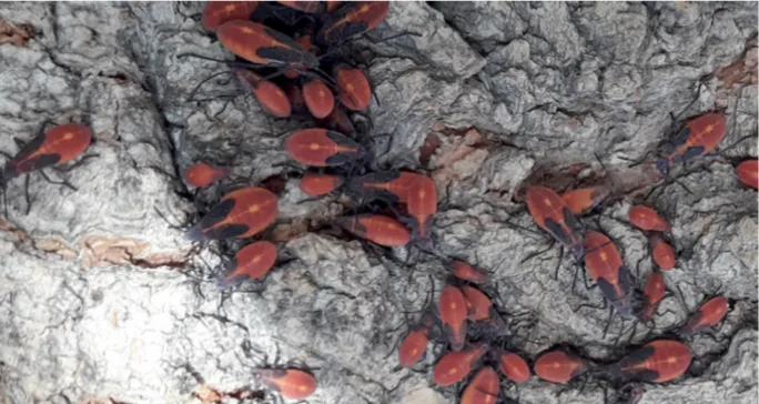 Screenshot_20250523-121045-686