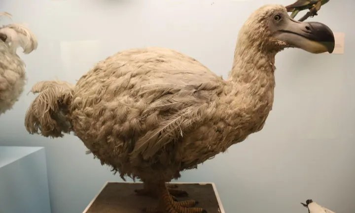 Screenshot_20250503-143739-445