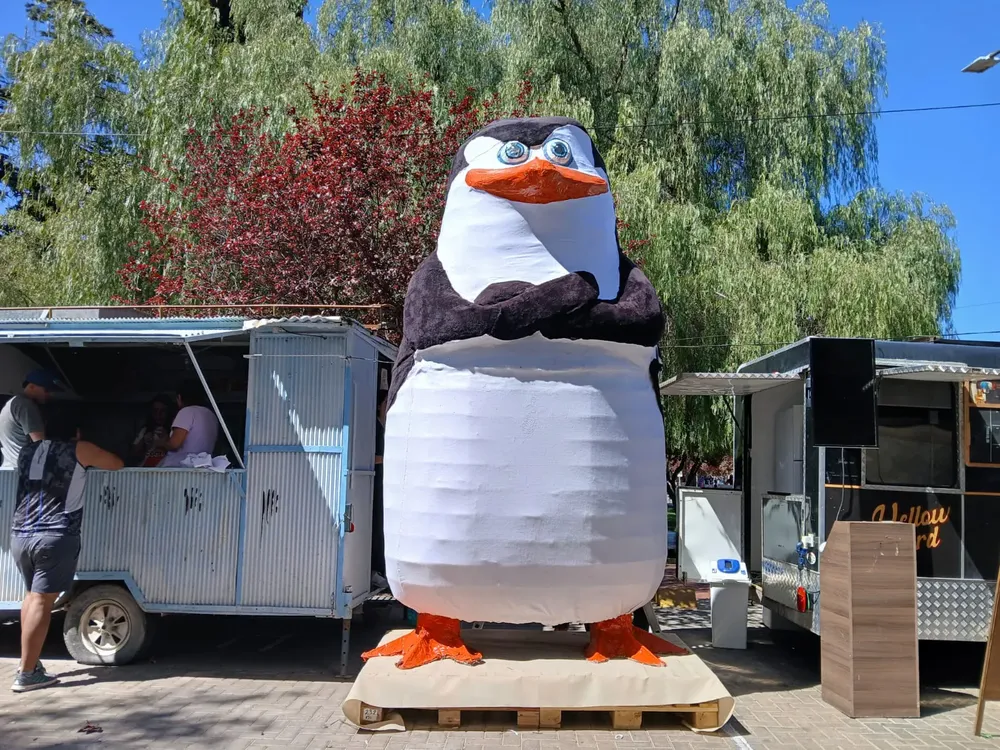 WhatsApp Image 2025-09-24 at 19.05.04 (1)